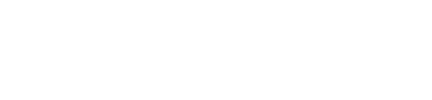 Noches de Convención